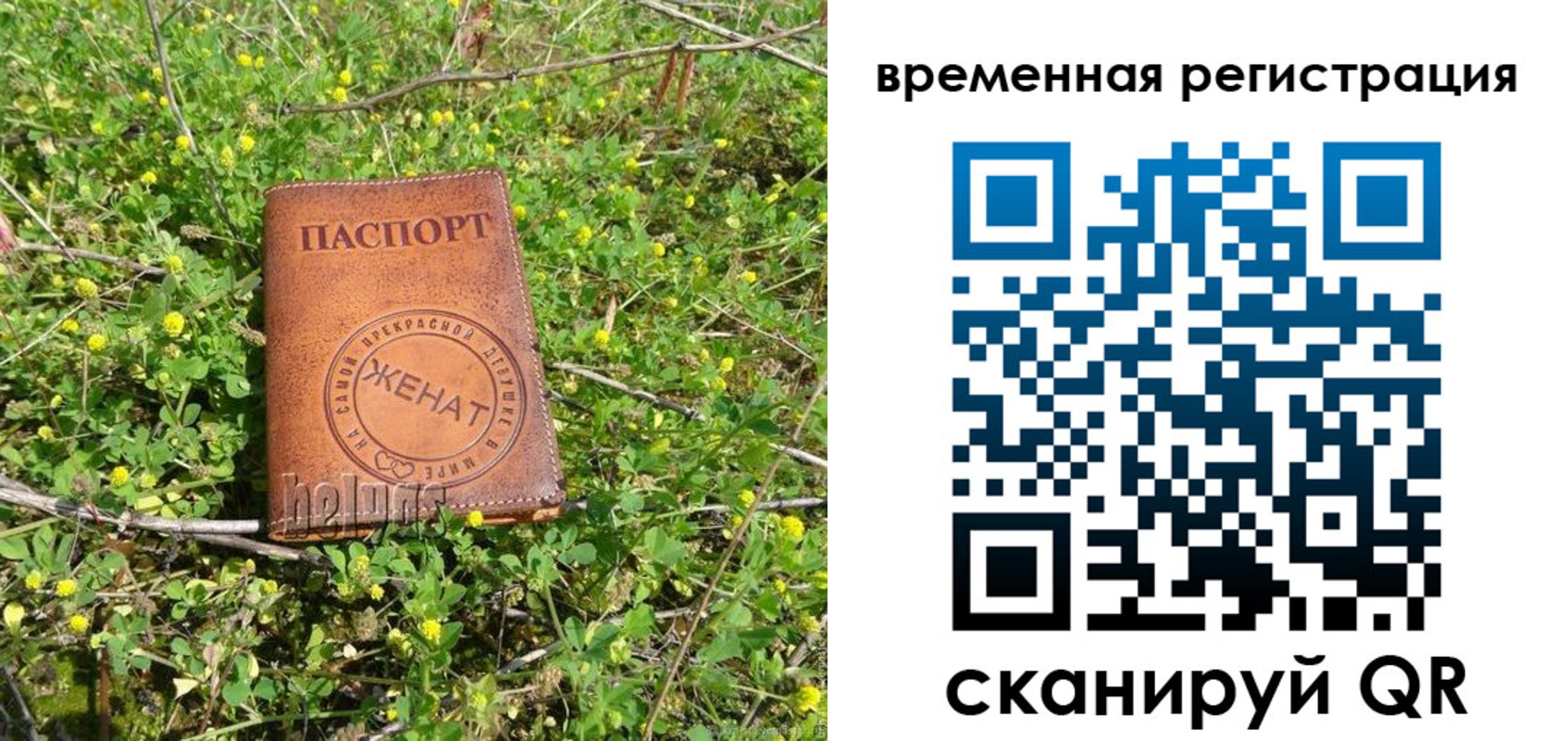 прописка регистрация в Давлеканово